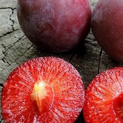 Сажанец Слива Старкинг Делишес осенний сорт поздний срок созревания (51101)
