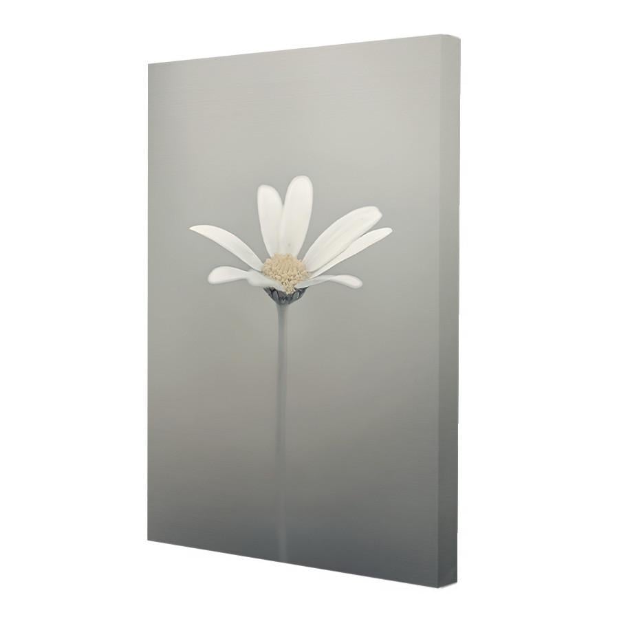 Набір постерів Riviera Blanca Квіткова імла 3 шт. (PS-002) - фото 3 Набір постерів Riviera Blanca Квіткова імла 3 шт. (PS-002) - фото 3