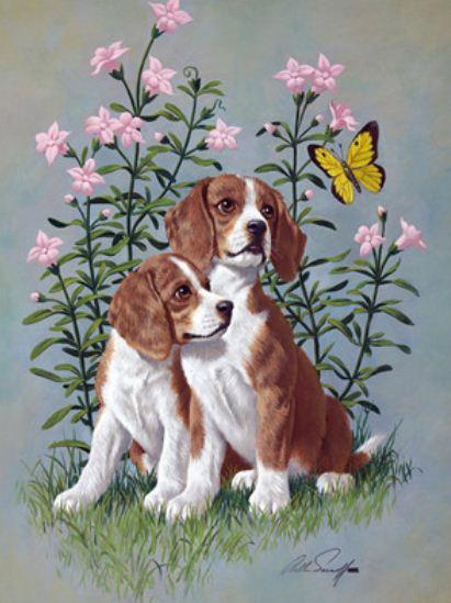 Картина по номерам Josef Otten Животные Собачки 30х40 см в термопакете (1392EKTL_O-mt)