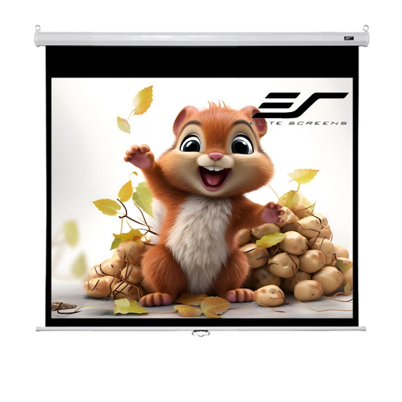 Екран проекційний Elite Screens M119XWS1 настінний ручний 119" 213,4x213,4 см/1:1 (23421907) - фото 3