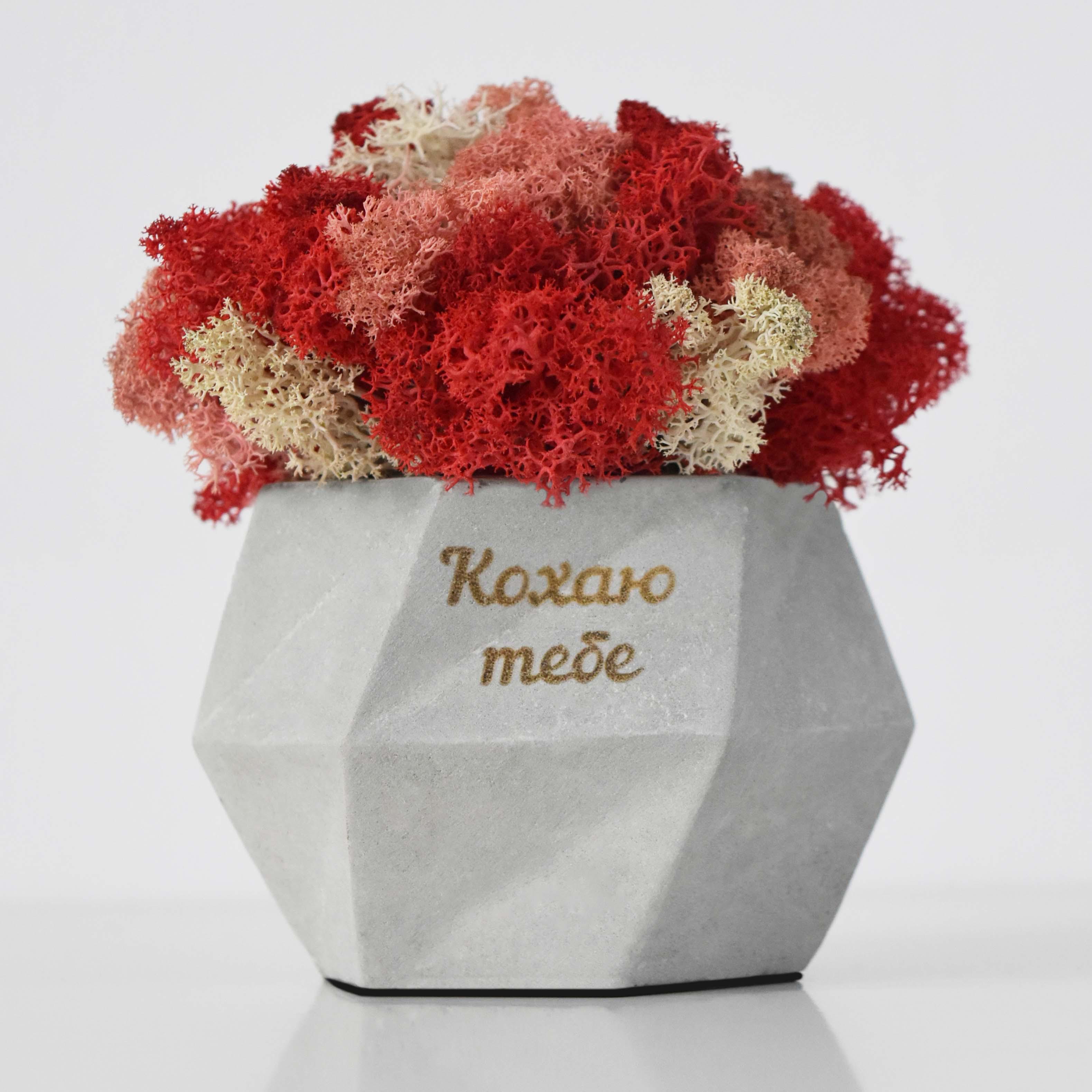 Кашпо Hurricane "Кохаю тебе" со стабилизированным мхом Розовый (14227078)