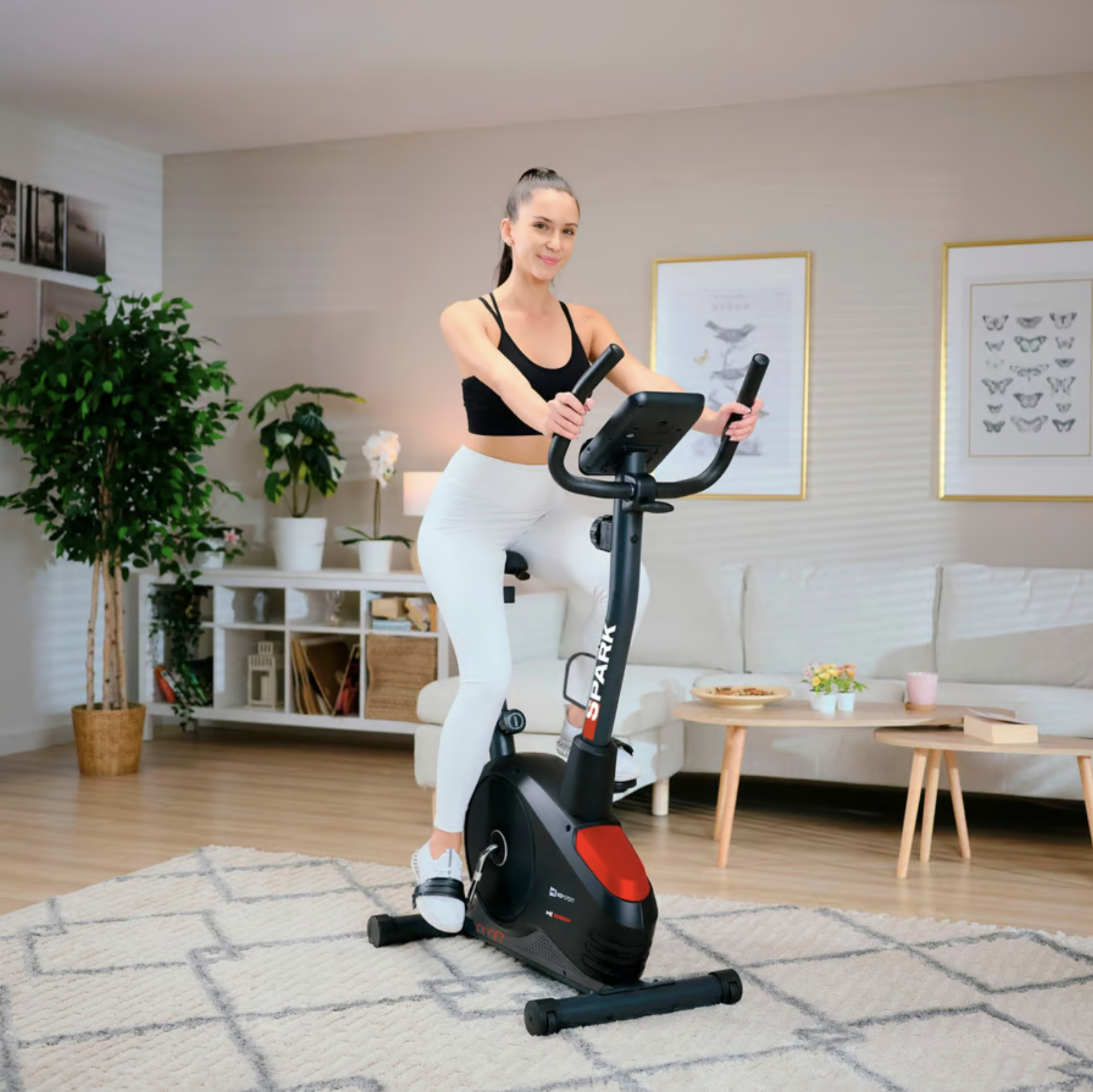 Велотренажер Hop-Sport HS-2080 Spark Чорно-червоний (2025) - фото 3 Велотренажер Hop-Sport HS-2080 Spark Чорно-червоний (2025) - фото 3