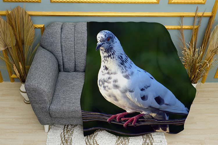 Плед Beautiful dove плюш двошаровий 150х210 см (113986-3)