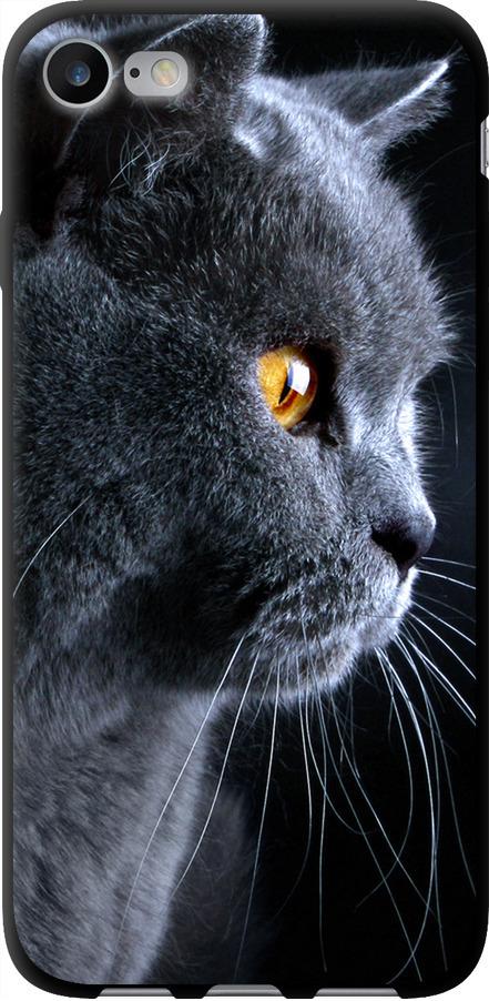 Чехол на iPhone 8 Красивый кот (3038b-1031-42517)