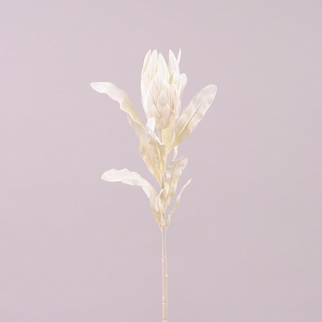 Гілочка Flora Протеї (73127)