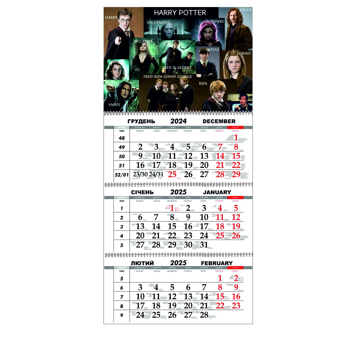 Календар настінний Гаррі Поттер на 2025 рік квартальний (21822058)