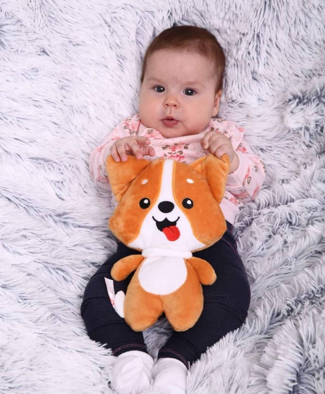 Игрушка-грелка Корги с вишневыми косточками (1643642617) - фото 5 Игрушка-грелка Корги с вишневыми косточками (1643642617) - фото 5