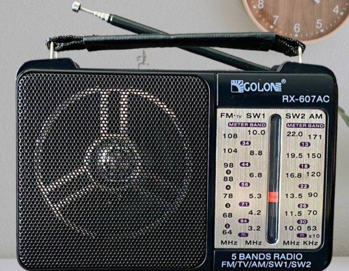 Радиоприемник аккумуляторный портативный Golon 6W-607AC з FM радио 220 В Черный (534bc82a) - фото 2