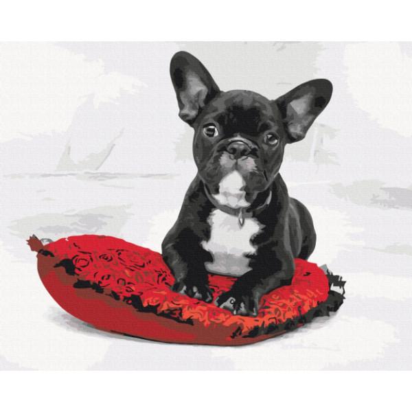 Картина по номерам Brushme Моя любимая собачка 40х50 см в термопакете (BS51842-mt) Картина по номерам Brushme Моя любимая собачка 40х50 см в термопакете (BS51842-mt)