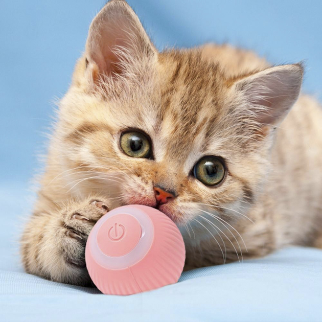 Смарт игрушка вращающийся шарик для животных - фото 8 Смарт игрушка вращающийся шарик для животных - фото 8