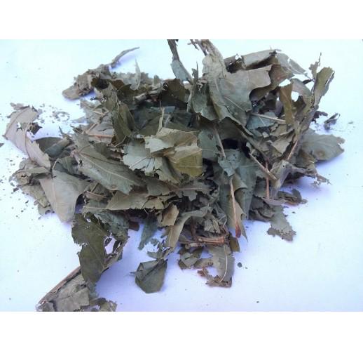 Сушене листя дубу Herbs Zaporoje 5 кг (С0046)