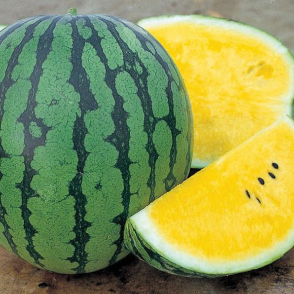 Семена Арбуз Оранж Кинг F1 NWB ТД Гекса-Украина 01-01-020 1000 шт. проф упаковка (IR02342)