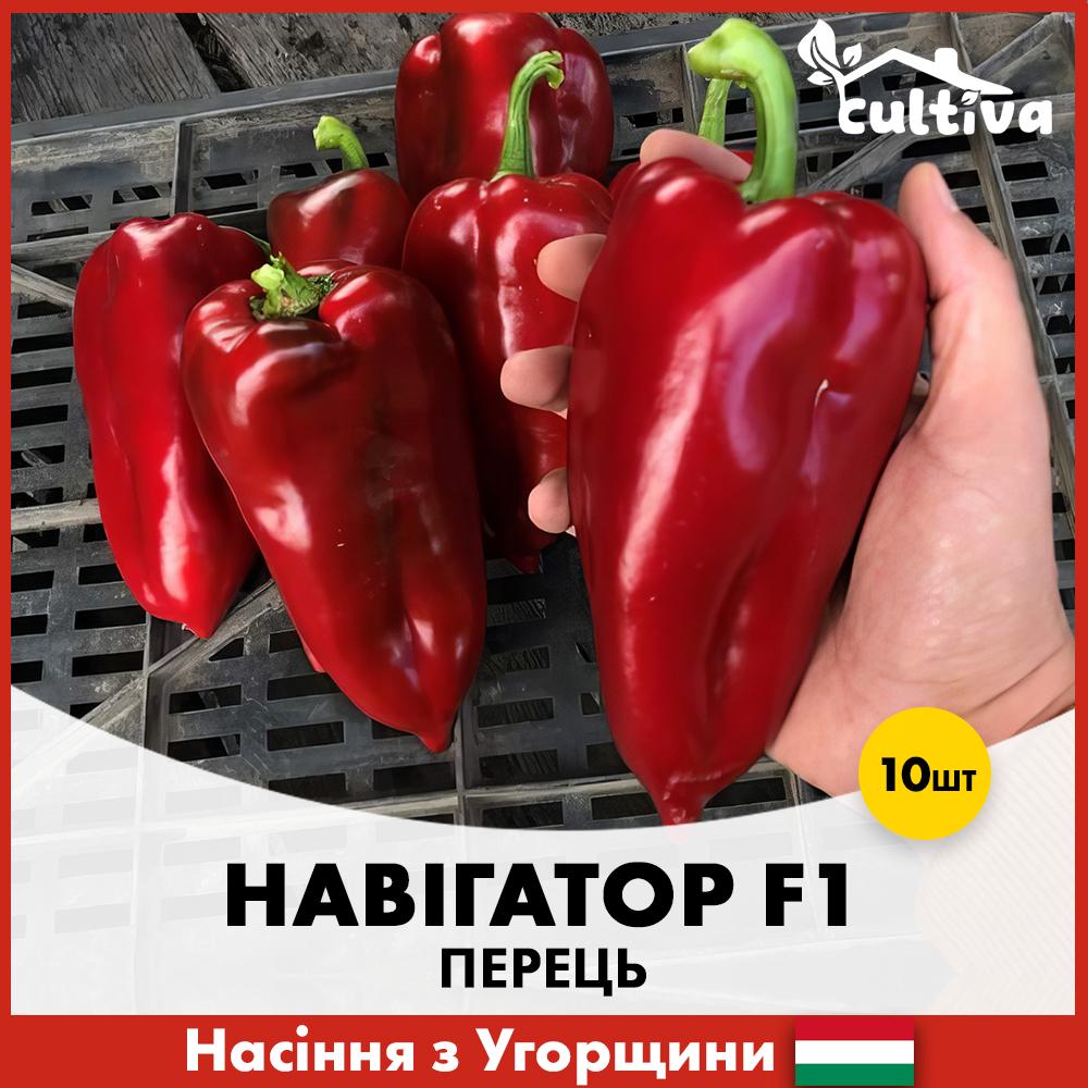 Семена перца ZKI Навигатор F1 10 шт. (R51020)