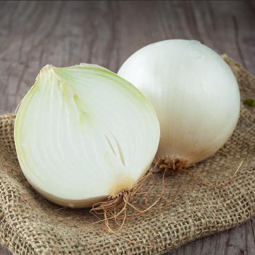 Семена Цибуля Florium Білий Джамбо (13437)