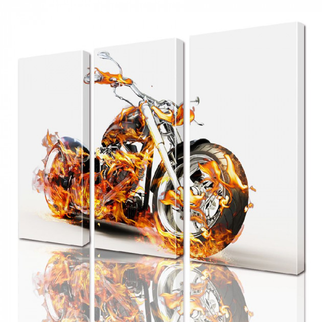 Картина модульная ArtStar Мотоцикл ADA0054 55х70 см 3 части