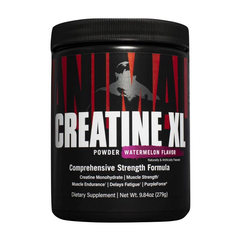 Креатин моногидрат Universal Creatine XL Фруктовый пунш 279 г (22028-01)