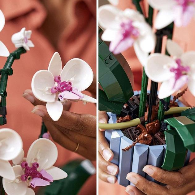 Конструктор квіти Орхідея в горщику Orchid 3D квітка на 608 деталей - фото 6 Конструктор квіти Орхідея в горщику Orchid 3D квітка на 608 деталей - фото 6