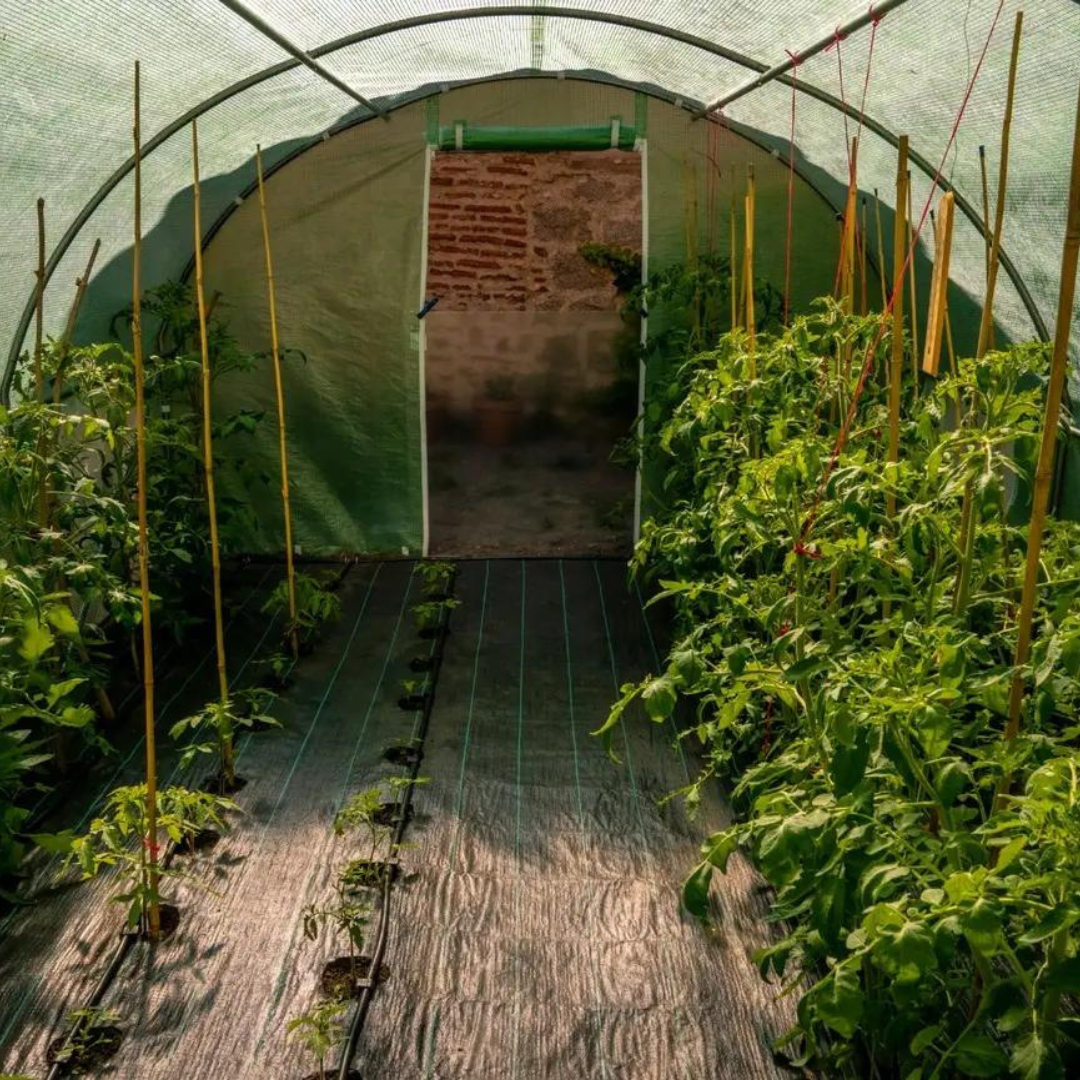 Агротканина GardenLine AGO4448 70 Г/М2 1,6 х50 м Чорний (PVO777) - фото 8