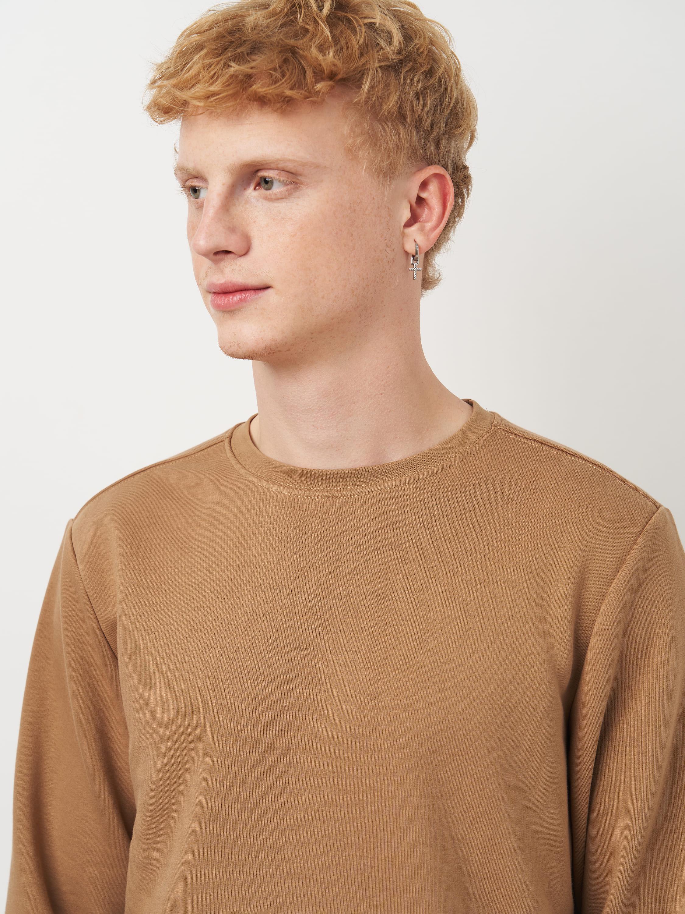 Свитшот мужской ROZA 210542 M Тофи (4824005708770) - фото 4