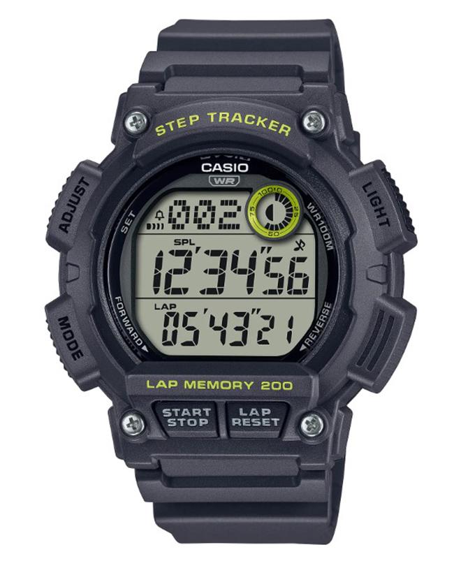 Годинник Casio WS-2100H-8AVDF