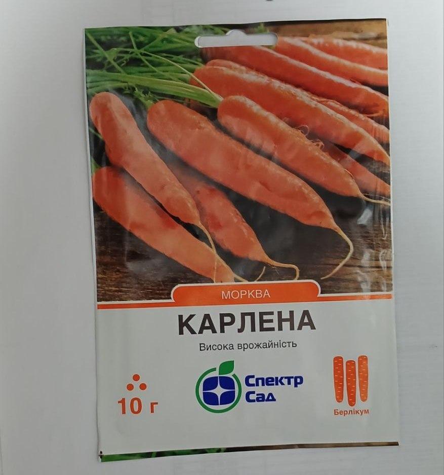 Насіння Морква тип Берлікум Карлена середньостигла 10 г високий вміст вітамінів каротину