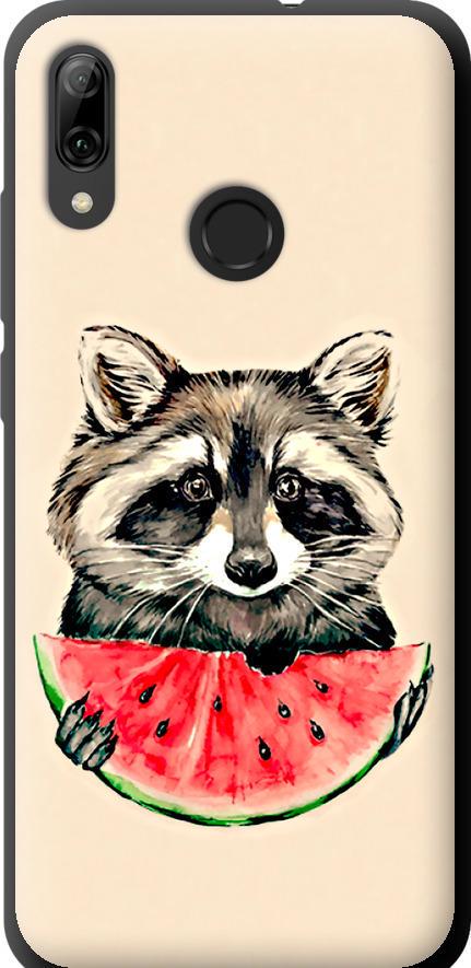 Чехол на Huawei P Smart 2019 Енотик с арбузом (4605b-1634-42517)