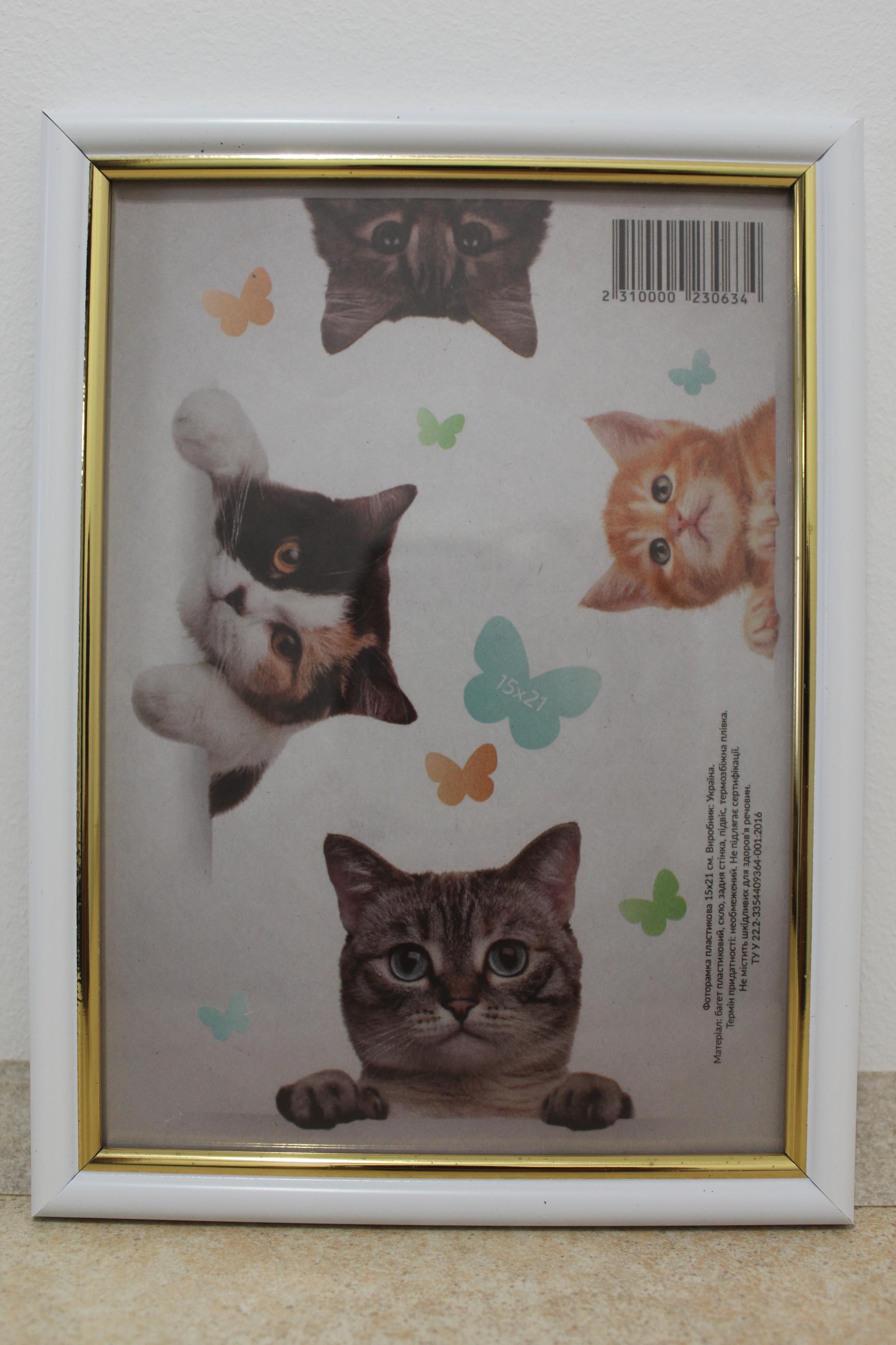 Фоторамка UAFRAME 1515-015-3 скло/картон 15х21 см Білий із золотою вставкою (19131109)