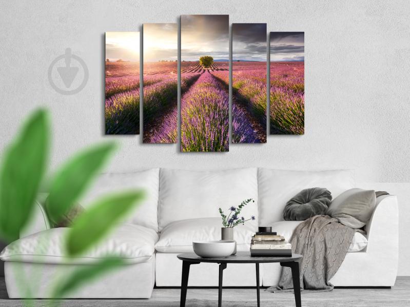 Модульна картина Poster-land Природа Лаванда Art-350_5 (80х118см)