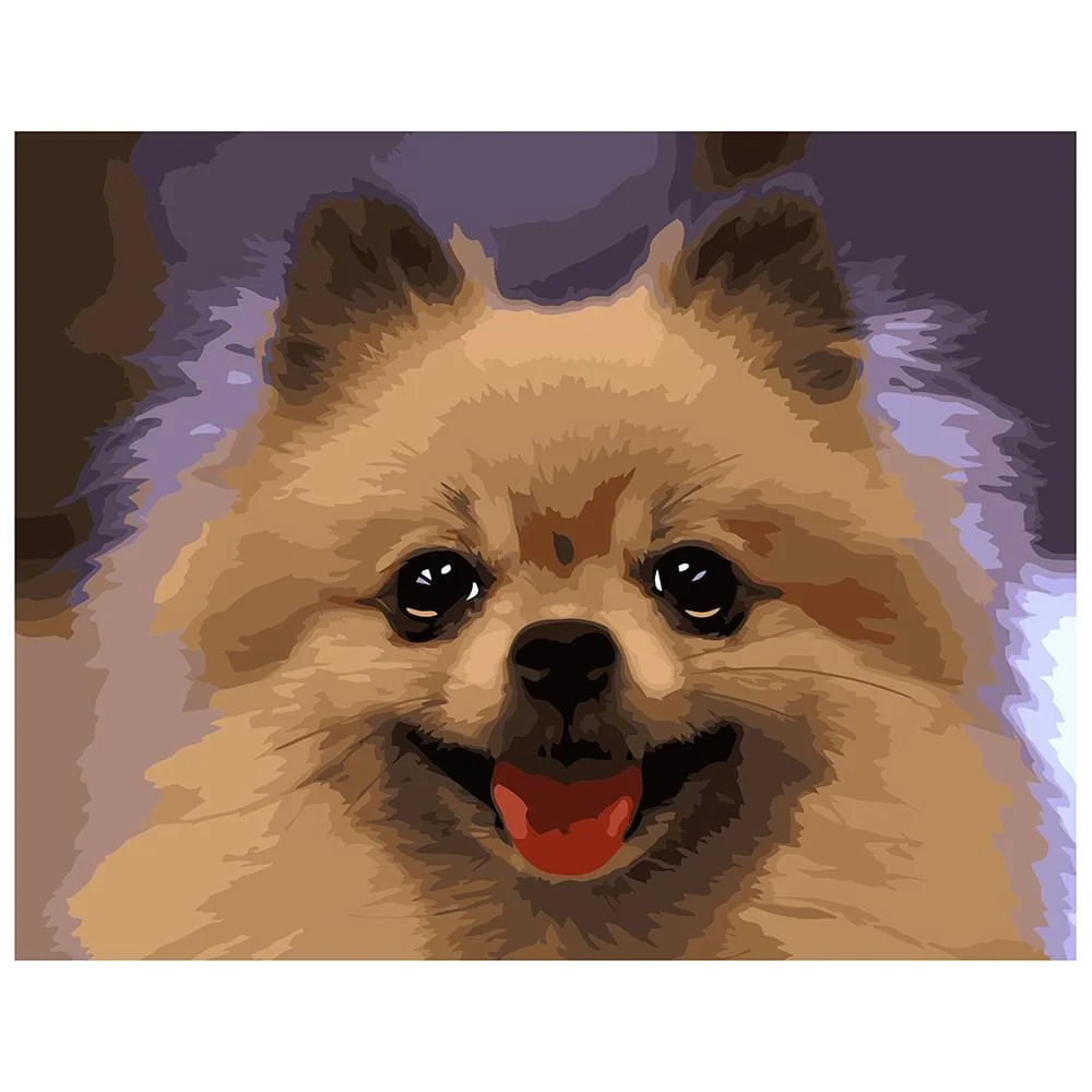 Картина по номерам Strateg Животные Портрет шпица 40х50 см в коробке (VA-1672КЗ-mt)