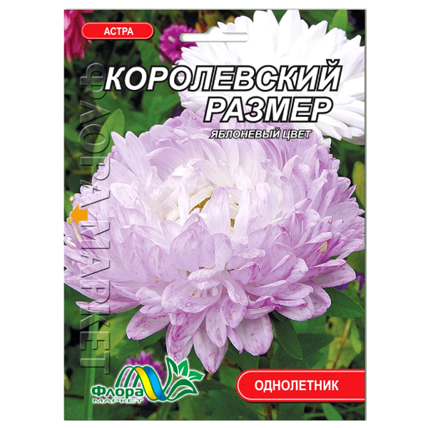 Семена Астра Королевский размер яблоневый цвет пионообразный 0,3 г (27331)