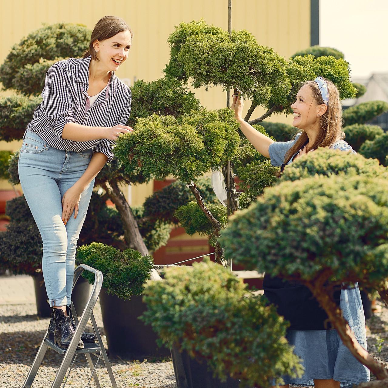 Субстрат Biovita Optima для хвойних та ацидофільних рослин 50 л (A-026046) - фото 6