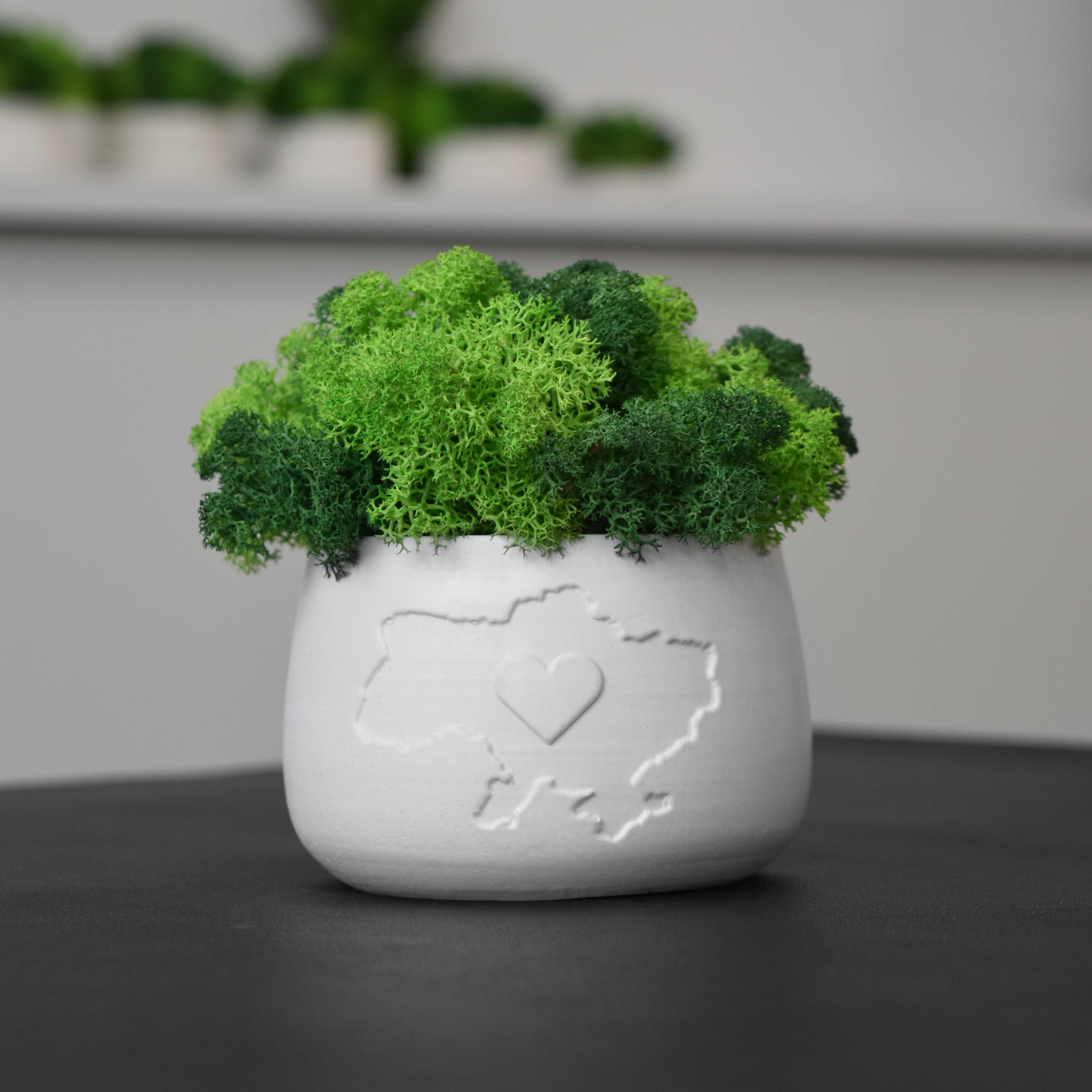 Кашпо Ukraine гипсовое со стабилизированным мхом Белый/Зеленый/Салатовый (14056645)