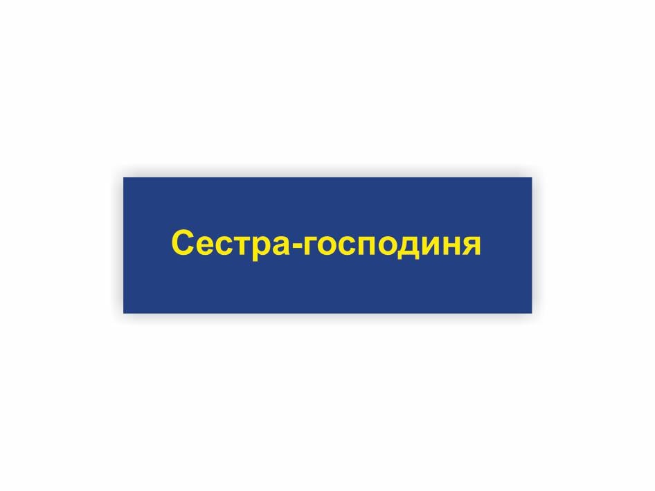 Табличка Vivay "Сестра-господиня" 30x10 см (25312255)