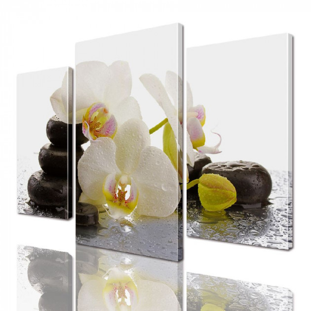 Картина модульна ArtStar Орхідея ADFL0028 120х180 см 3 частини