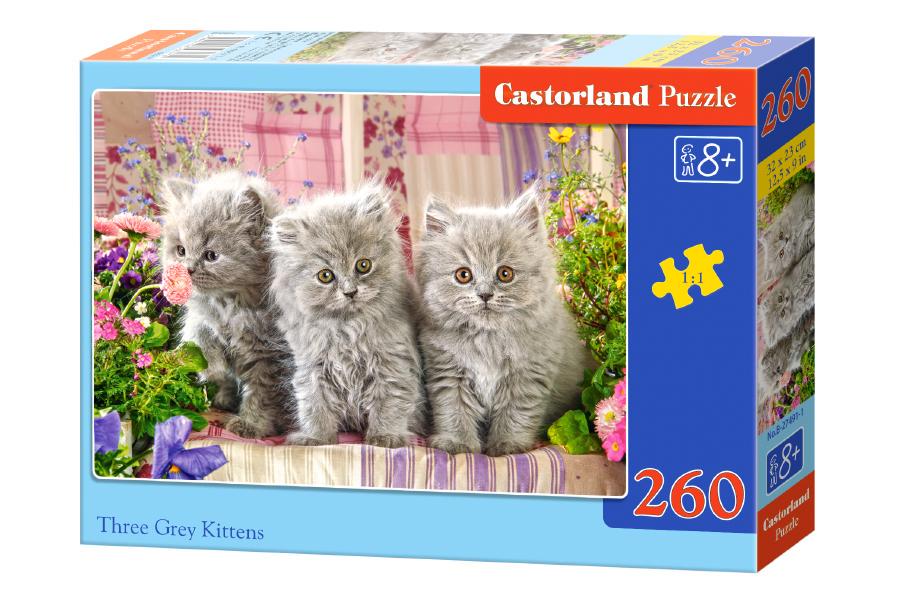 Пазли Castorland «Три сірі кошенята» (B-27491)