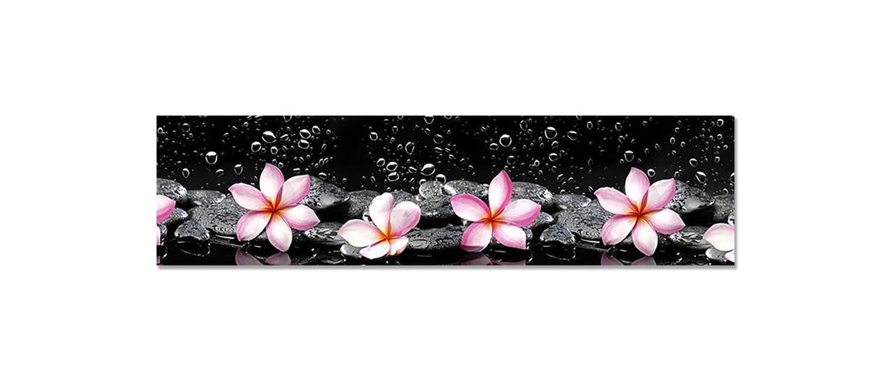 Наклейка виниловая на кухню Zatarga Розовые Цветы на Черном фоне 650х2500 мм (1294193365)