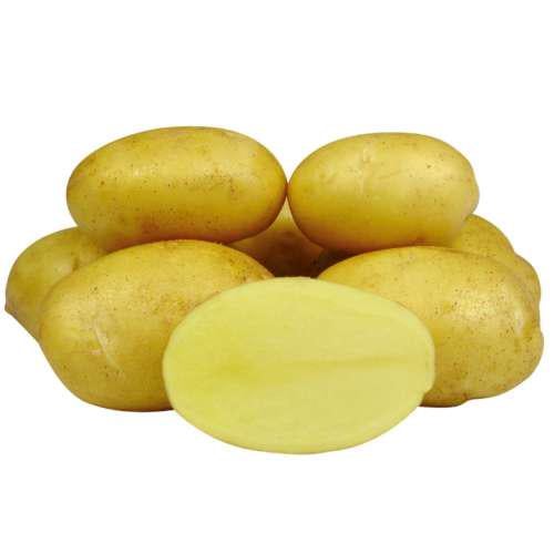 Картофель Королева Анна 5 кг (38278746)