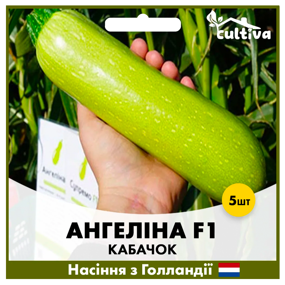 Семена кабачки Syngenta Ангелина F1 5 шт. (00143)