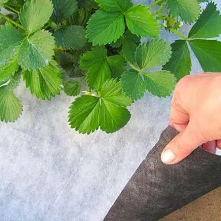 Агроволокно Shadow 50 г/м² 1,6х100 м Черно-белый (АВЧБР00012) - фото 2 Агроволокно Shadow 50 г/м² 1,6х100 м Черно-белый (АВЧБР00012) - фото 2