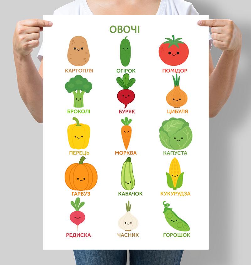 Постер обучающий для детсада Овощи 42x60 см A2 без рамки (D240_A2)