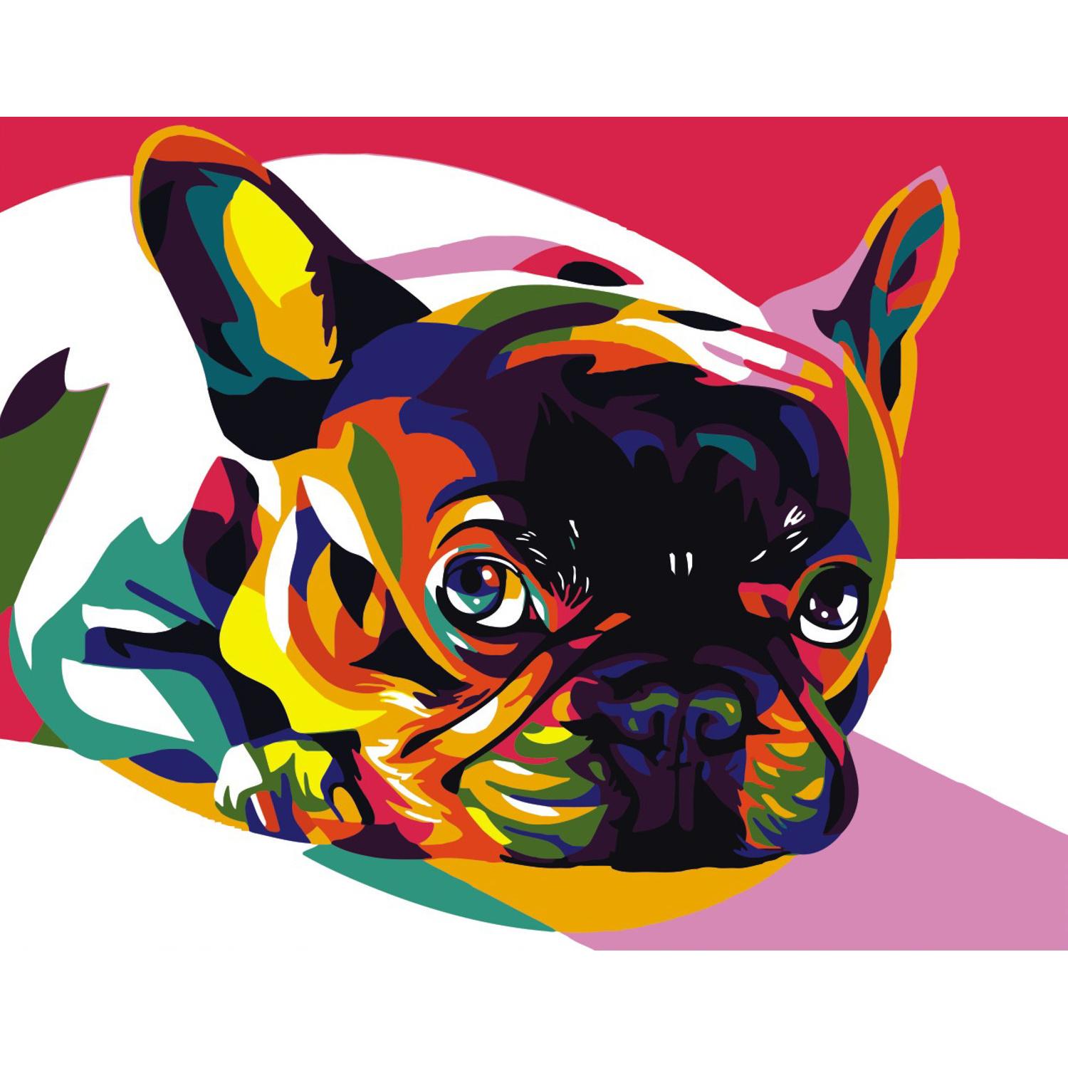 Картина по номерам Strateg Цветной французский бульдог 40x50 см (VA-0148)