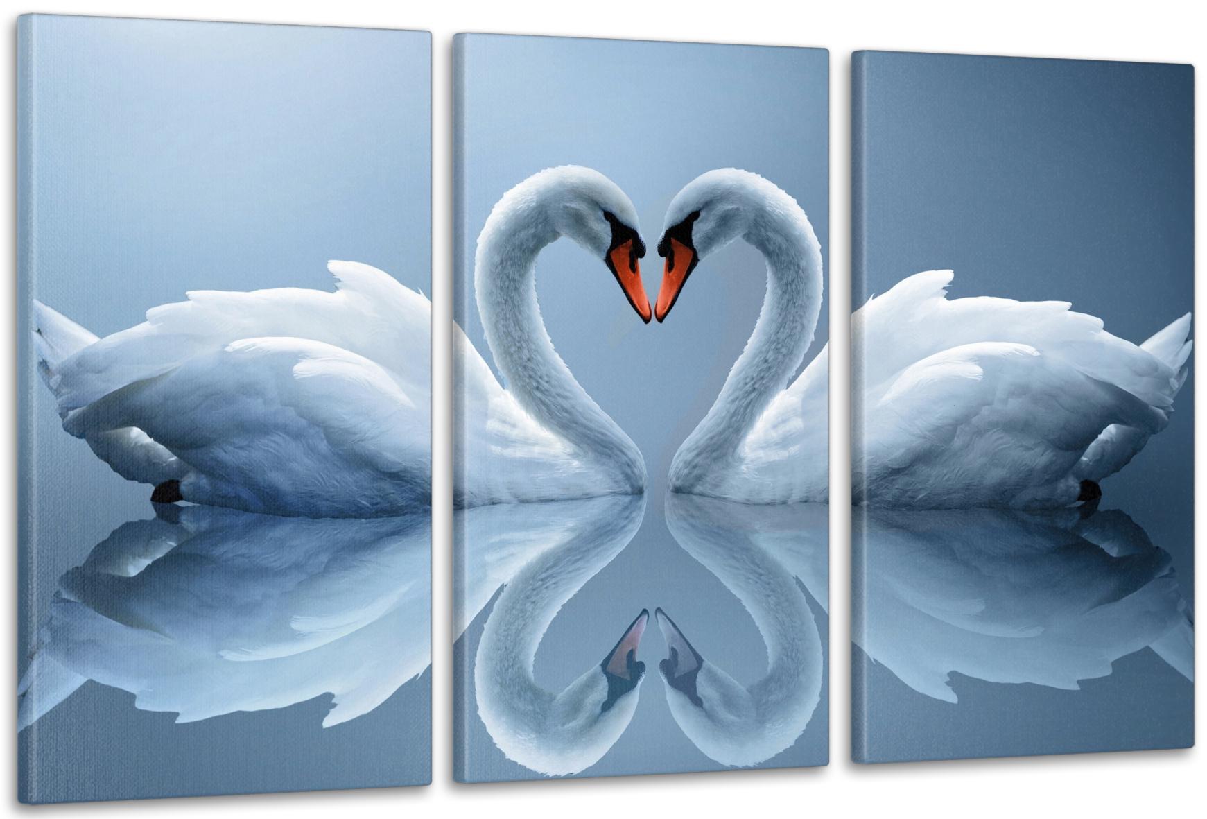 Картина модульная в гостиную/спальню Лебеди 100х150 см (ART-025_3A)