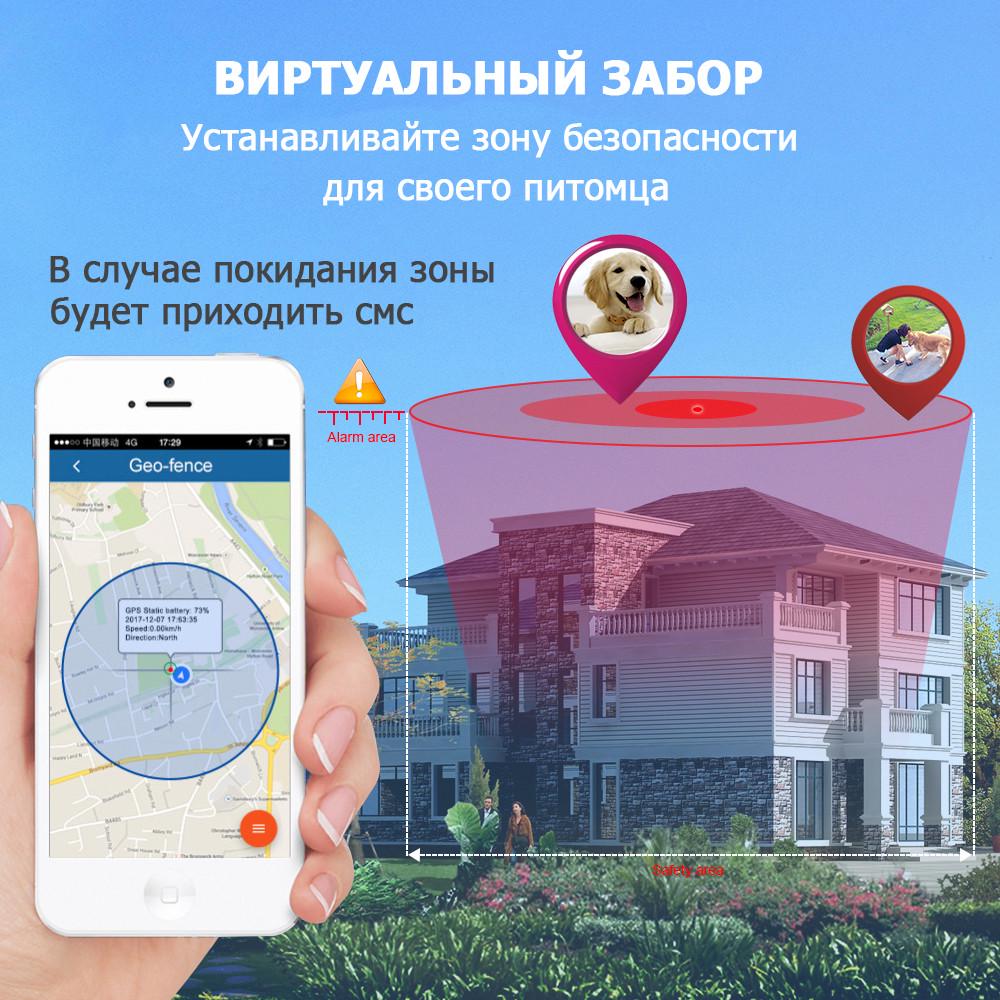 ᐉ Ошейник з GPS трекером TK-STAR TK911 для собак и кошек IP66 (10069208) •  Купить в Киеве, Украине • Лучшая цена в Эпицентр