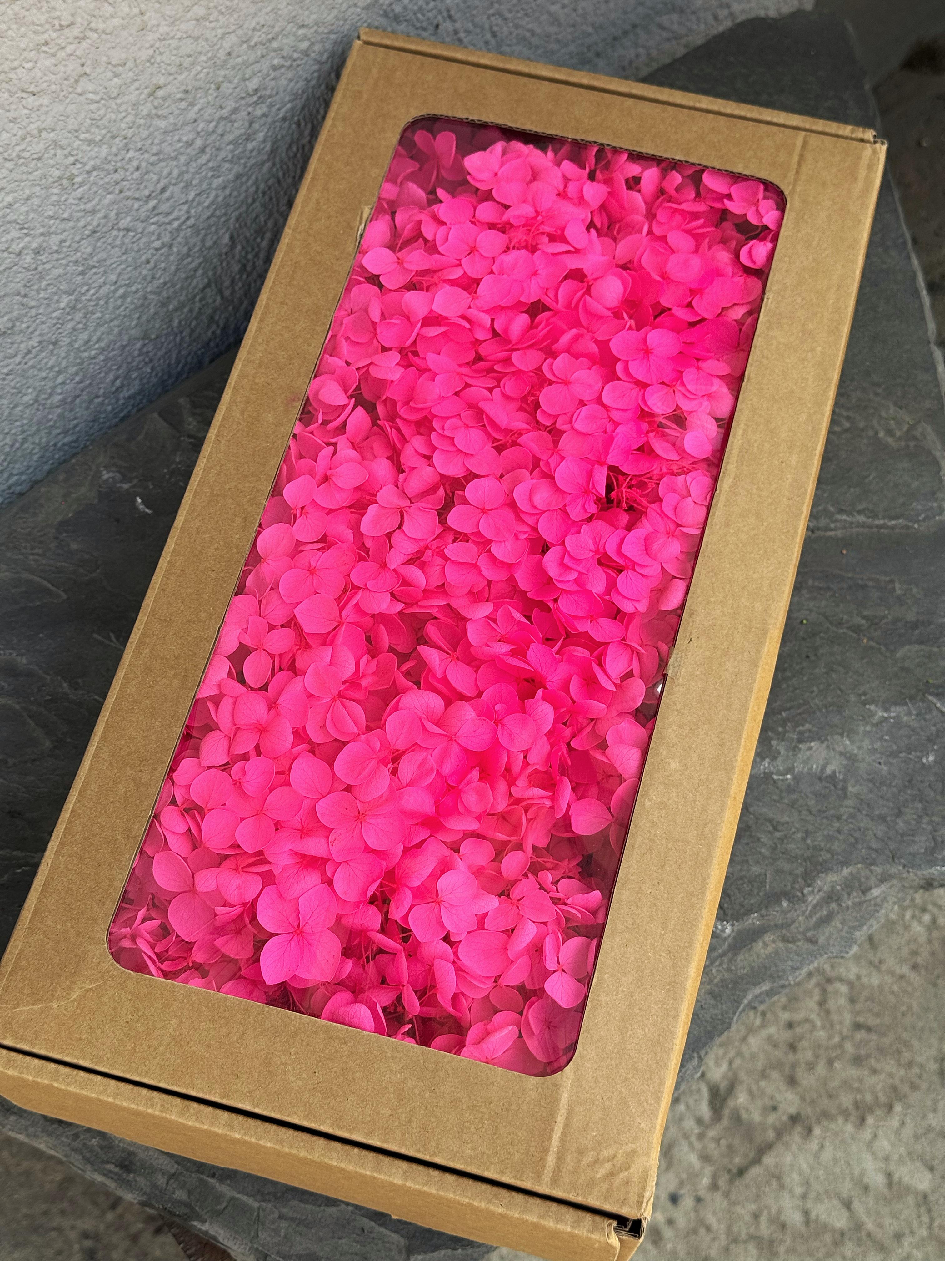 Стабилизированная гортензия 5 г Розовый неон Стабилизированная гортензия 5 г Розовый неон