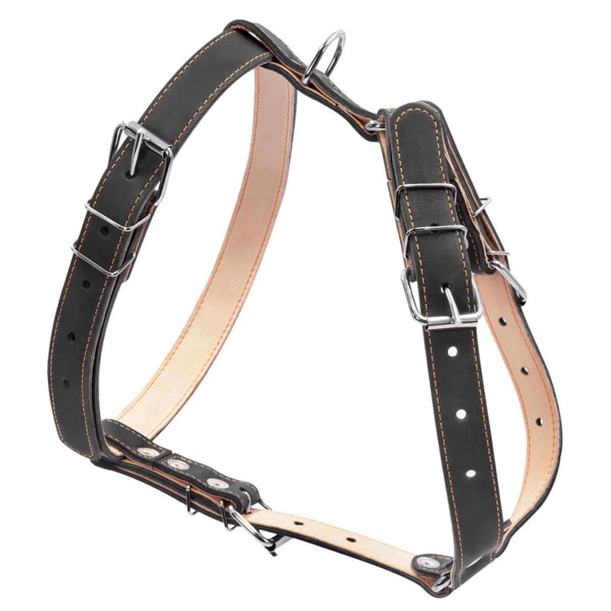 Шлея подвійна CoLLaR для середніх собак 25 мм х 49-68 см х 68-80 см Чорний (06421 Col)