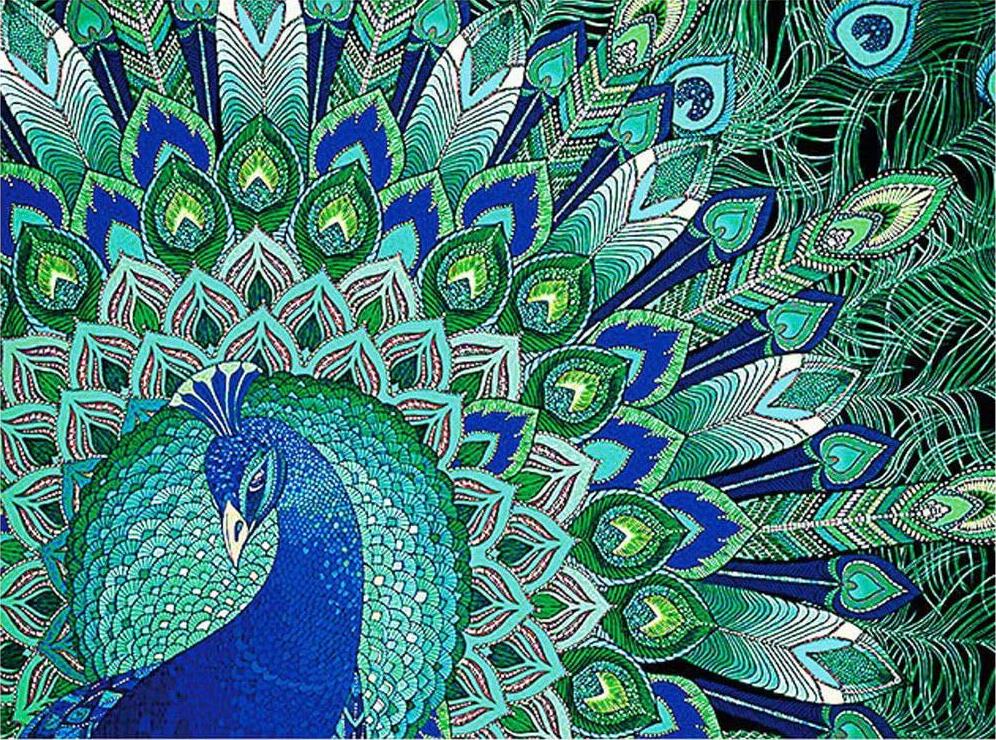 Алмазная мозаика Emerald Craft Оперение павлина 30x20 см (17662)