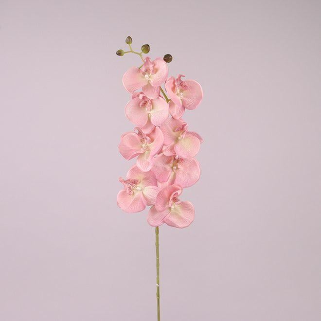 Цветок Фаленопсис Flora Розовый (73179)