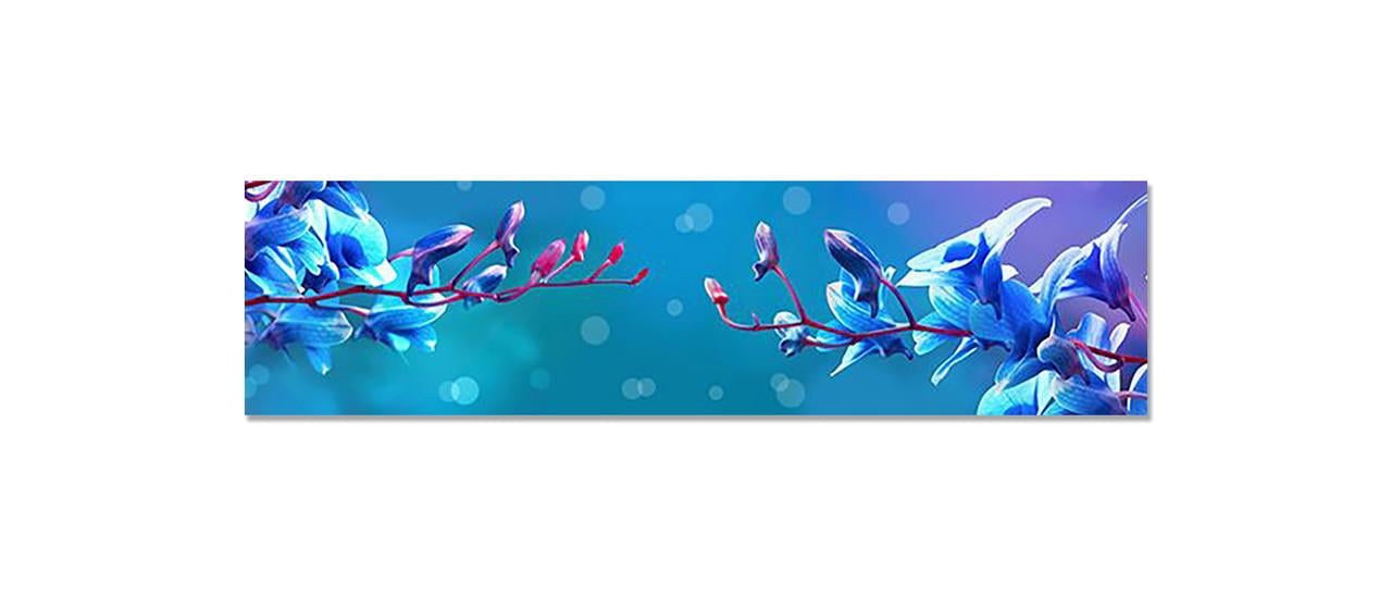 Наліпка вінілова на кухню Zatarga Сині відблиски 650х2500 мм (1283915540) Наліпка вінілова на кухню Zatarga Сині відблиски 650х2500 мм (1283915540)