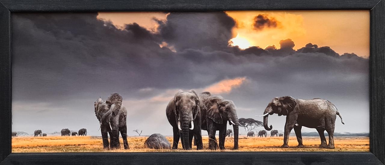 Фотокартина в деревянной раме Elephants 3 20х50 см (POS-2050-142)