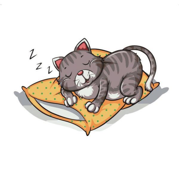 Картина по номерам Strateg Животные Сладких снов 30х30 см в термопакете (ES012-mt)